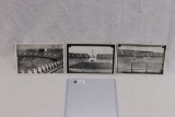 (3) 1936 Olympics Stadium Postcards