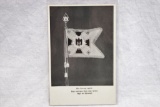 Nazi Standarte Postcard