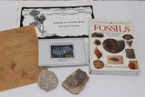 Iowa Crinoid Fossil, Coral & Books, etc.