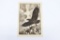 1933 German Telegram/Nazi Eagle Jacket