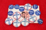 Ted Kennedy 1972 Campaign Pin Group