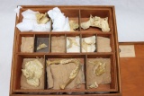 Rare! Antique Medical Skull Parts Case