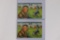 (2) WWII Hitler/Skunk Joke Postcards