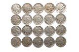 Group of (20) Buffalo Nickels