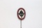 Nazi RAD Stick Pin