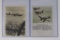 (2) Nazi Luftwaffe Propaganda Postcards