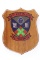 Vintage 2nd Bn 5th Marines Wood Plaque