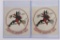 Vietnam War VF-191 Flight Helmet Decals