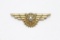 WWII USN Vanguard Flight Surgeon Wings