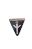 Nazi Deutsches Frauenwerk Member Pin