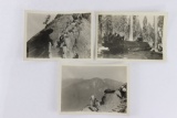 Sequoia National Park (3) 1932 Photos