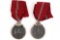 Lot of (2) WWII Nazi Eastern Front Medals