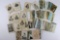 Large Group of Antique Postcards