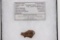 Piece of the Canyon Diablo Meteorite