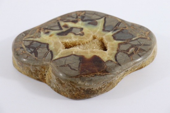 1.25" Thick Dugway Septarian Nodule Slice