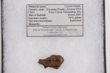 Piece of the Canyon Diablo Meteorite