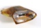 Large Baltic Amber Pendant (2 1/2