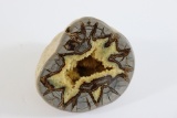 Lg. Dugway, UT Septarian Nodule Geode