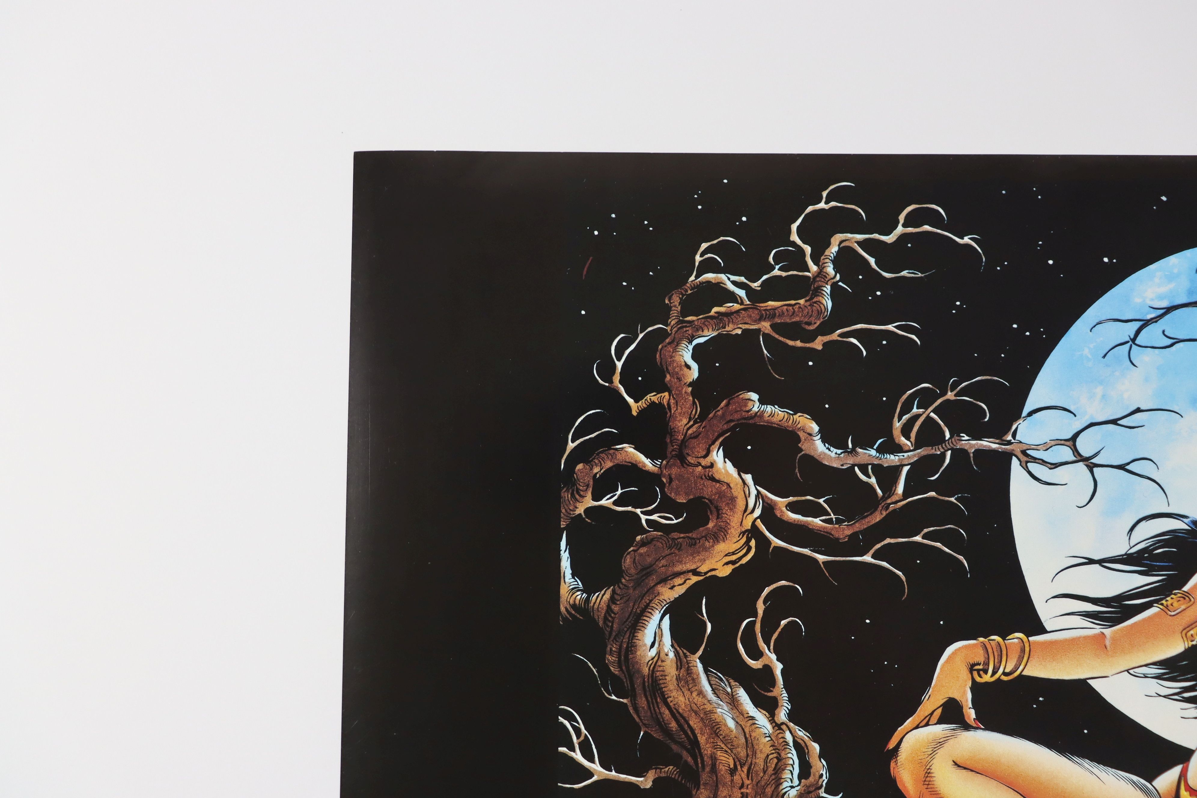 Vampirella 1994/Dave Stevens Poster | Proxibid
