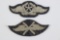 (2) WWII Nazi Luftwaffe Specialty Patches