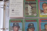 1975 and 1976 Topps Baseball (220 different commons; conditions vary)