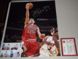 Autographed 16x20 Photo Bulls NBA Basketball Kirk Hinrich Kansas Schwartz Picture Proof Attached