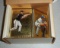 1995 Topps Baseball Embossed Gold Starter Set Ripken Jr Piazza 48/140 Cards