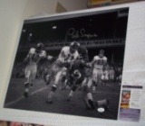 Gale Sayers Autographed Signed 16x20 Photo Bears HOF NFL Football
