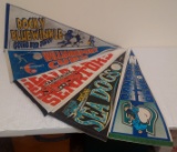 5 Minor League Baseball Full Size Pennant Lot Some Defunct 1990s 2000s Bangor Blue Ox Cubs Sea Dogs