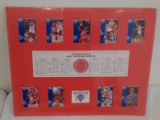 Rare 1991-92 Fleer NBA Basketball Chicago Bulls Dream Team Card Display Matted Jordan Pippen Jackson
