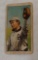 Vintage T206 Baseball Tobacco Card Pre War Piedmont Back Low Grade H Davis Philadelphia American