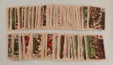 Vintage 1976 Fleer NFL Action Card Sticker Near Starter Set 82 Cards Football Extras