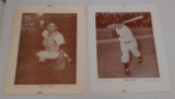 Vintage 1940s 1950s Baseball Magazine Photo Insert Blank Back Pair Yogi Berra Error Yoggi Yankees
