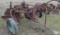 4 BOTTOM TRAILER PLOW