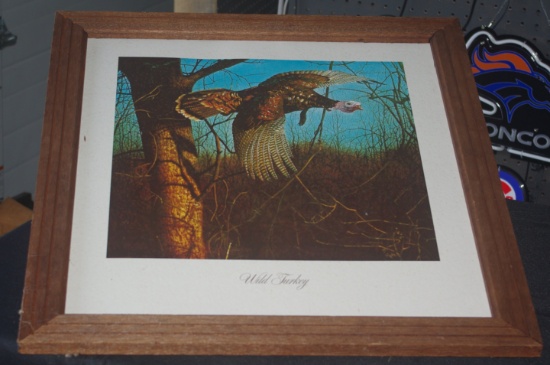 Wild Turkey Framed picture