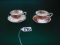 2 New Stechol Porcelain Cups & Saucers