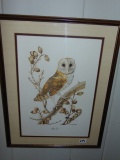 Framed & Matted Print Of A Barn Owl