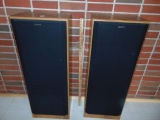 2 Large Sony Speakers - Local Pick Up Only