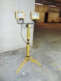 Double Light Work Lamp On Stand (plant) Local Pick Up Only