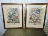 May And June Flowers Of The Month, May & June, Framed & Matted By Robert Furber