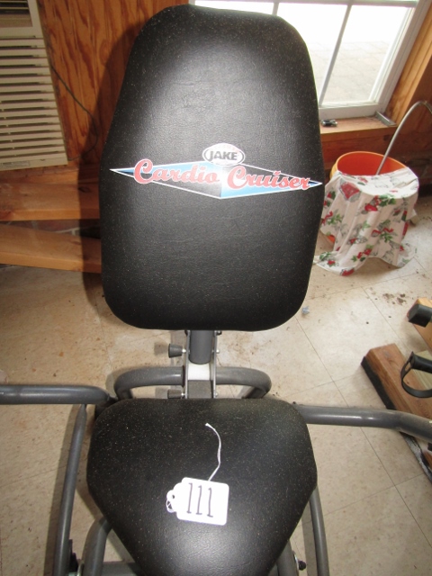 Cardio cruiser hotsell