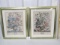 2 Vtg Prints Of The Flowers In Garden At Kensington Palace