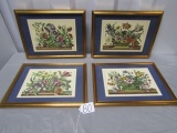 Set Of 4 Framed And Matted Floral Prints