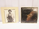 2 Muddy Waters Vinyl L Ps: Hard Again And The Best Of