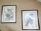 2 Large Audubon Prints: Turtle Doves And Blue Jay (Local Pick Up Only)