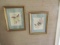 2 Gould And Richter Prints Of Flowers And Birds