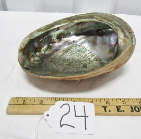 Large Mother Of Pearl Half Shell