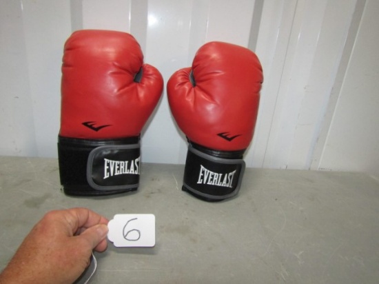 Never Used Everlast Boxing Gloves