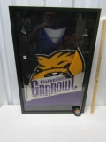 Greenville Growl Hockey Jersey In A Large Shadow Box Frame And A Greenvike (LOCAL PICK UP ONLY)