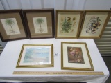 Lot Of 6 Prints In Frames W/ Glass Front